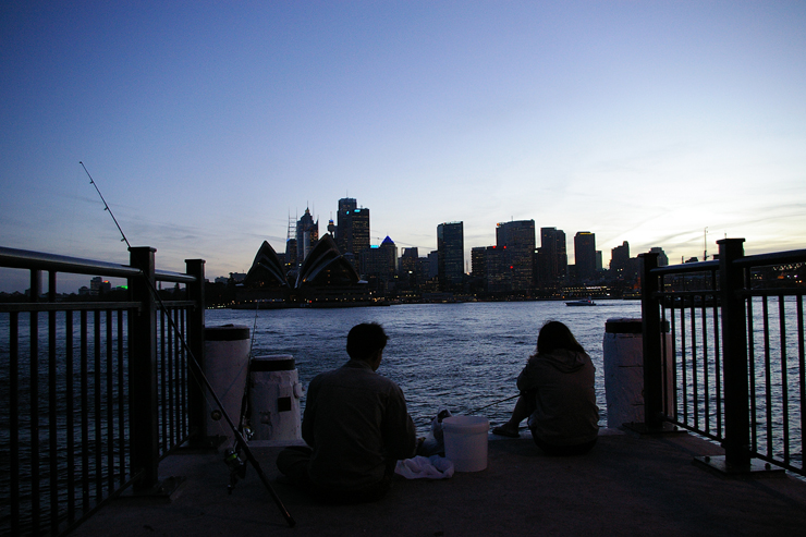 Fish on the city